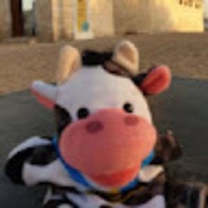 Meet your Posher, Patti